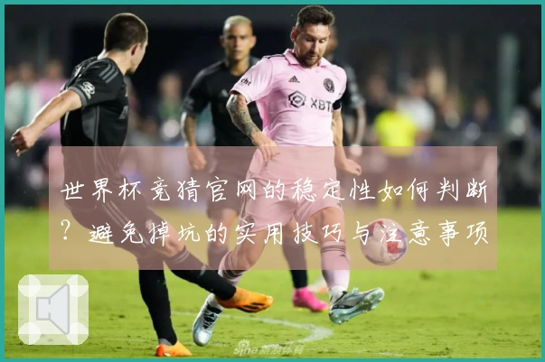 世界杯竞猜官网的稳定性如何判断？避免掉坑的实用技巧与注意事项