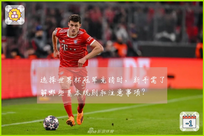 选择世界杯冠军竞猜时，新手需了解哪些基本规则和注意事项？