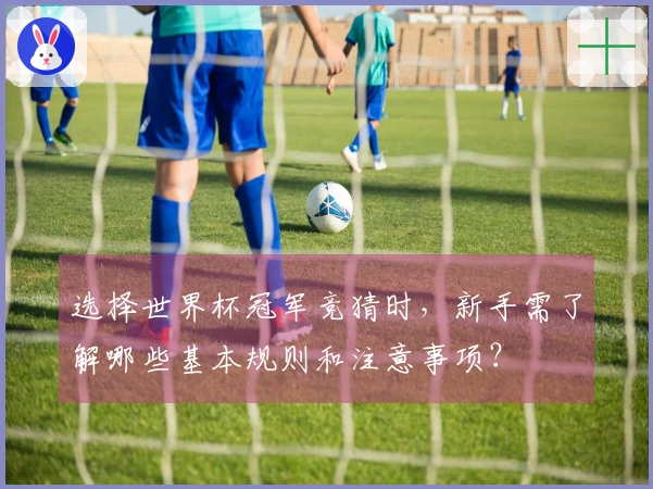 选择世界杯冠军竞猜时，新手需了解哪些基本规则和注意事项？