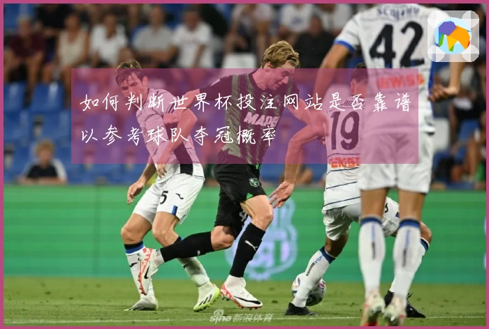 如何判断世界杯投注网站是否靠谱以参考球队夺冠概率