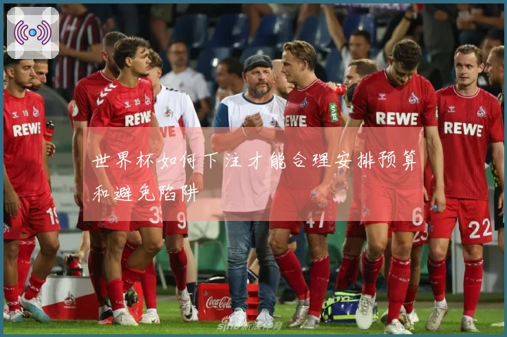 世界杯如何下注才能合理安排预算和避免陷阱