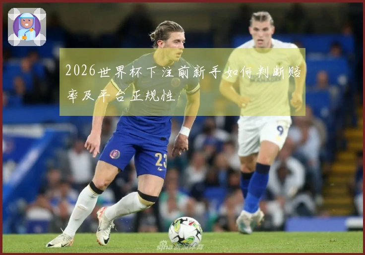 2026世界杯下注前新手如何判断赔率及平台正规性