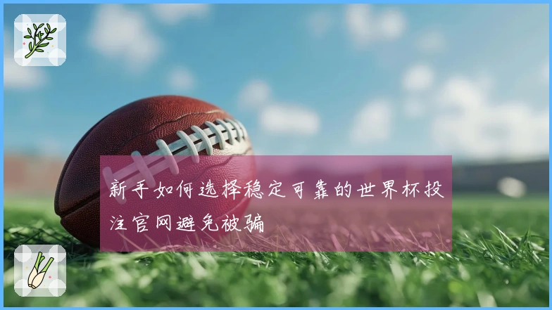 新手如何选择稳定可靠的世界杯投注官网避免被骗
