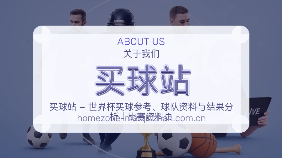 买球站服务团队与用户帮助